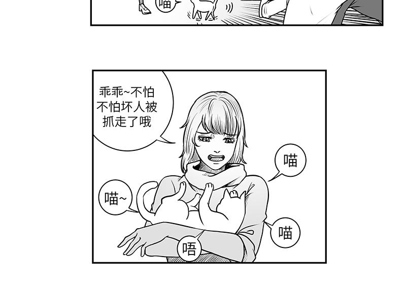 《涉笔成趣》第八话猫的套路你不懂 第20页