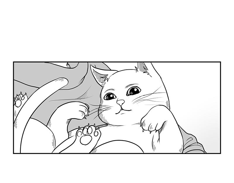 《涉笔成趣》第八话猫的套路你不懂 第23页