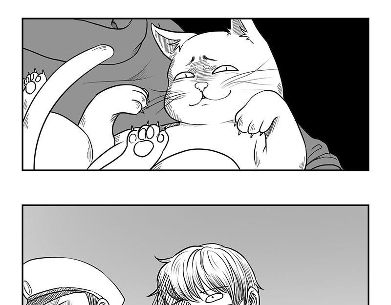 《涉笔成趣》第八话猫的套路你不懂 第25页
