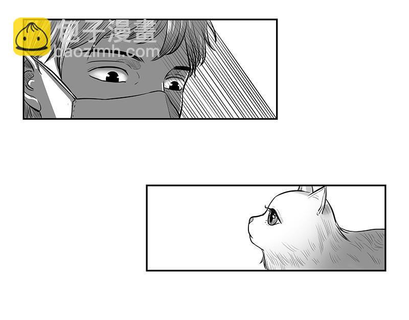 《涉笔成趣》第八话猫的套路你不懂 第3页