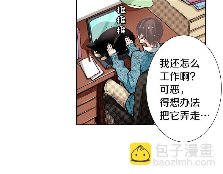 《同居人是猫》第4话 给猫咪起名 第11页