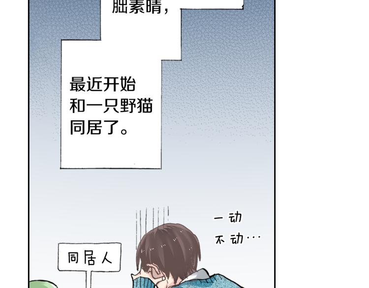 《同居人是猫》第4话 给猫咪起名 第14页