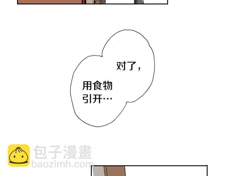 《同居人是猫》第4话 给猫咪起名 第16页