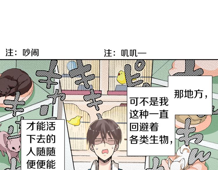 《同居人是猫》第4话 给猫咪起名 第36页