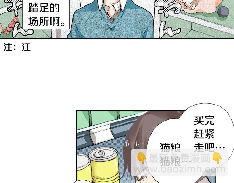 《同居人是猫》第4话 给猫咪起名 第37页