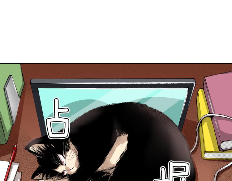 《同居人是猫》第4话 给猫咪起名 第7页