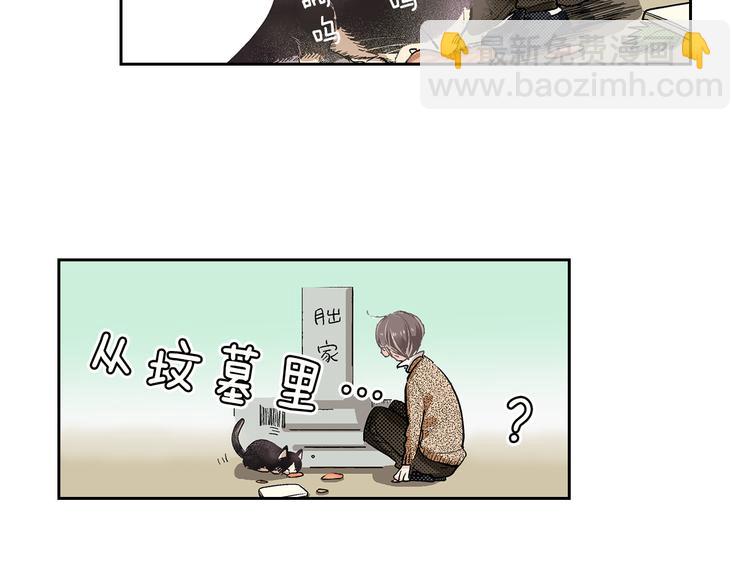 《同居人是猫》第1话 奇怪的美男作家 第49页
