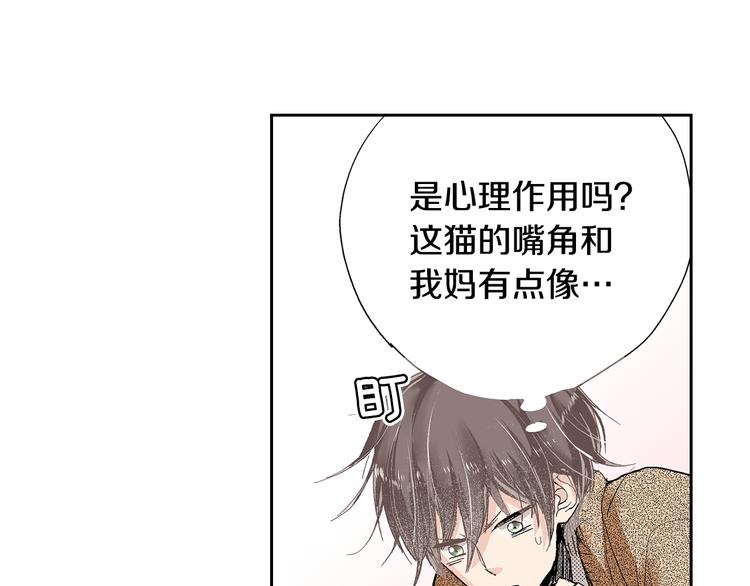 《同居人是猫》第1话 奇怪的美男作家 第50页