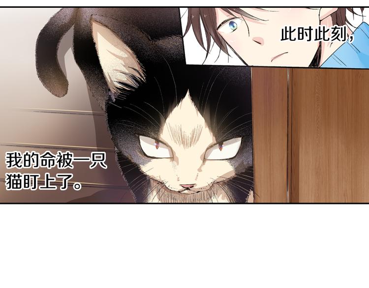 《同居人是猫》第1话 奇怪的美男作家 第7页