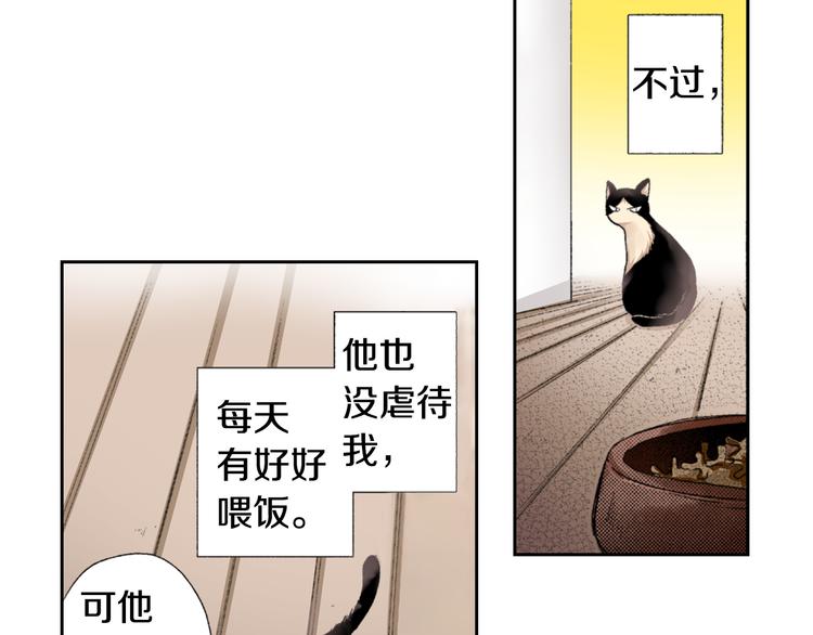 《同居人是猫》第3话 命运的邂逅？ 第11页