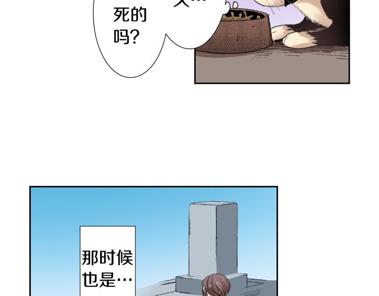 《同居人是猫》第3话 命运的邂逅？ 第14页