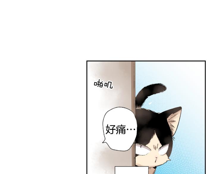 《同居人是猫》第3话 命运的邂逅？ 第23页