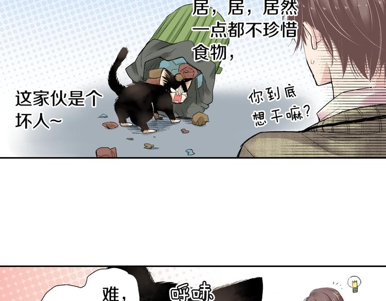 《同居人是猫》第3话 命运的邂逅？ 第29页