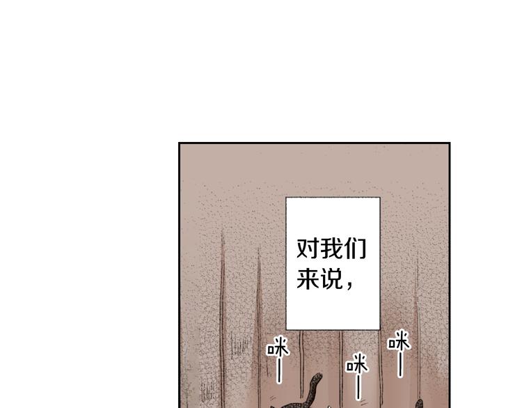 《同居人是猫》第3话 命运的邂逅？ 第31页
