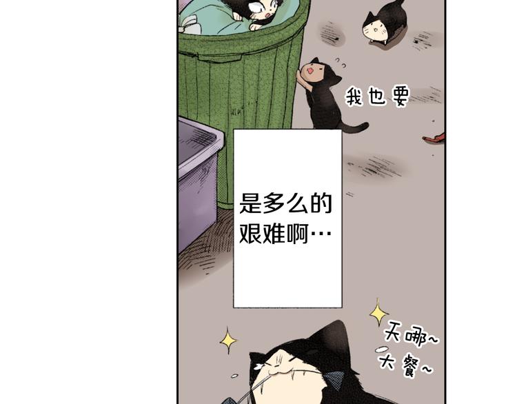 《同居人是猫》第3话 命运的邂逅？ 第33页