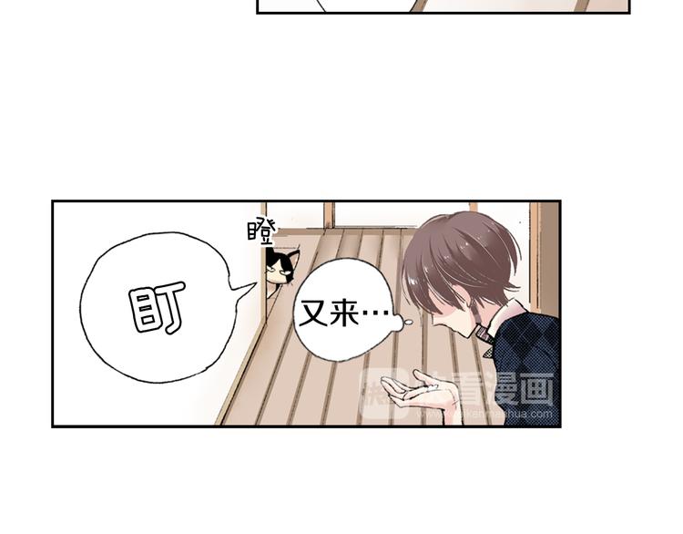 《同居人是猫》第3话 命运的邂逅？ 第37页