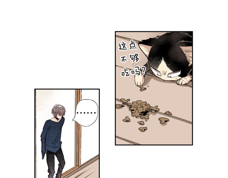 《同居人是猫》第3话 命运的邂逅？ 第38页