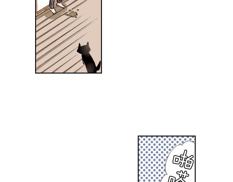 《同居人是猫》第3话 命运的邂逅？ 第39页