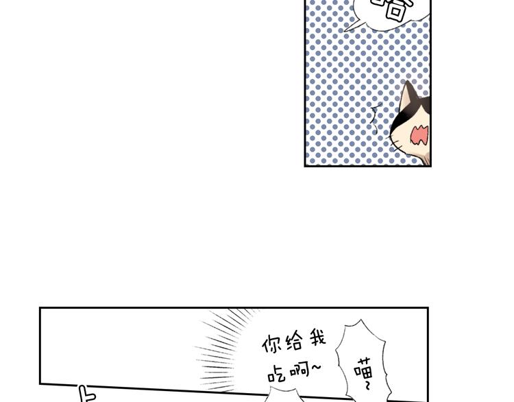 《同居人是猫》第3话 命运的邂逅？ 第40页