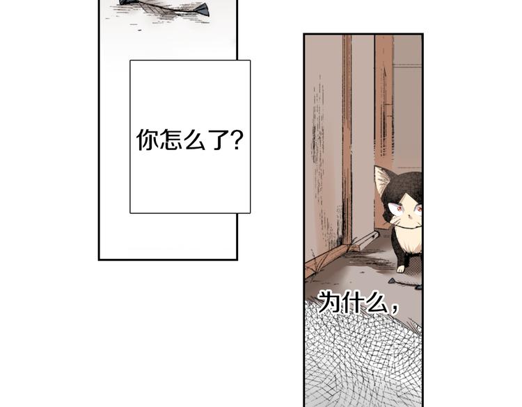 《同居人是猫》第3话 命运的邂逅？ 第50页