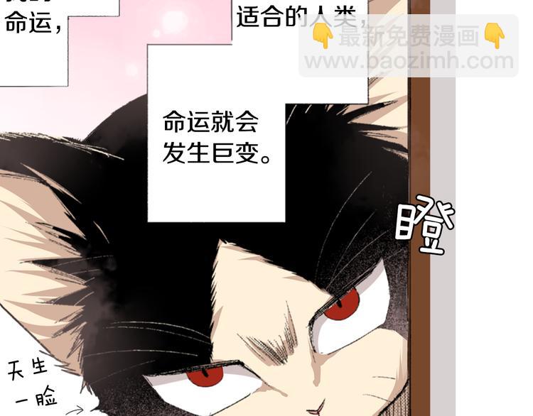 《同居人是猫》第3话 命运的邂逅？ 第6页