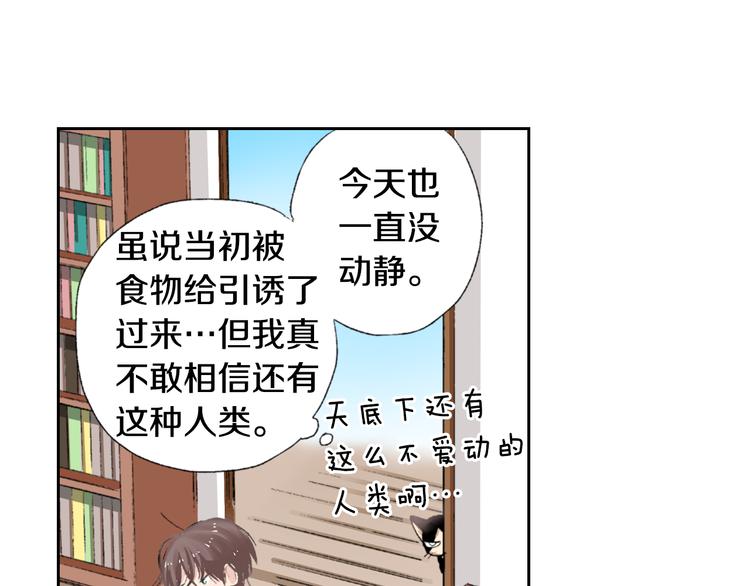 《同居人是猫》第3话 命运的邂逅？ 第9页