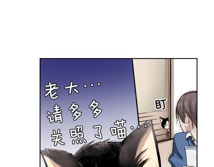 《同居人是猫》第2话 被猫咪担心了 第12页
