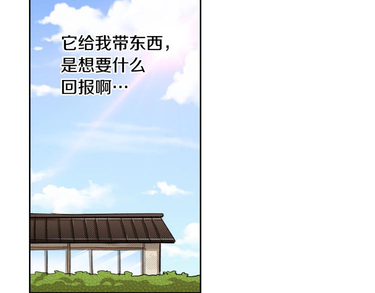 《同居人是猫》第2话 被猫咪担心了 第14页