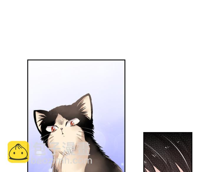 《同居人是猫》第2话 被猫咪担心了 第36页