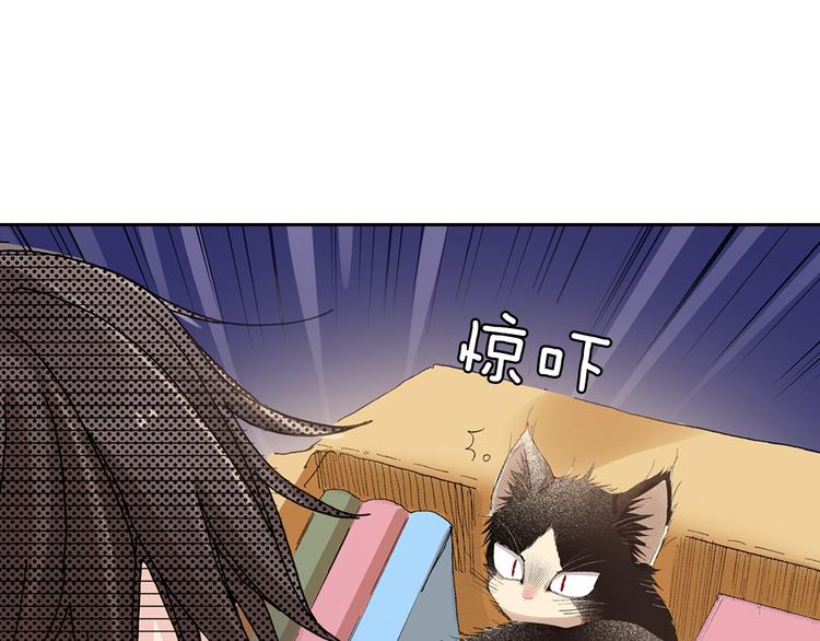 《同居人是猫》第5话 月亮和太阳 第11页