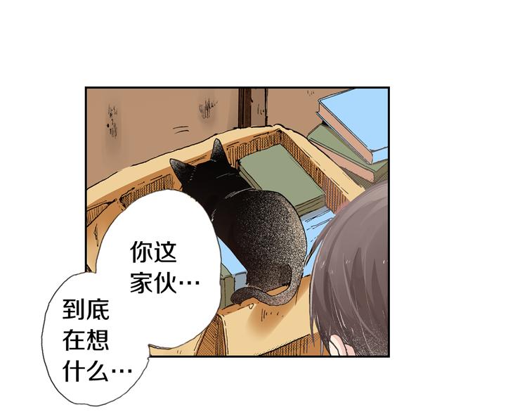《同居人是猫》第5话 月亮和太阳 第14页