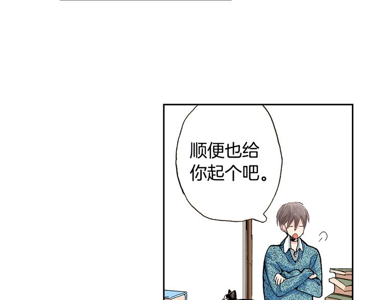 《同居人是猫》第5话 月亮和太阳 第19页