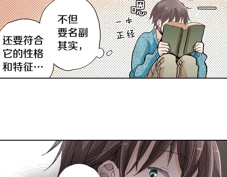 《同居人是猫》第5话 月亮和太阳 第21页