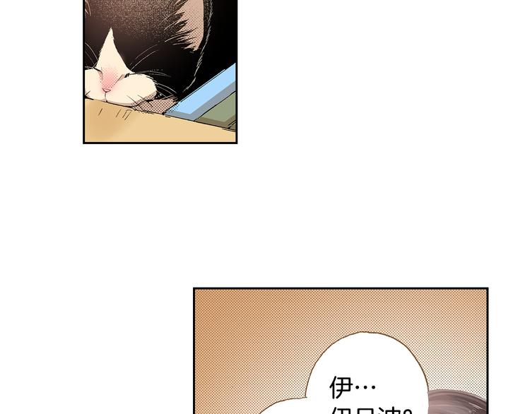 《同居人是猫》第5话 月亮和太阳 第27页