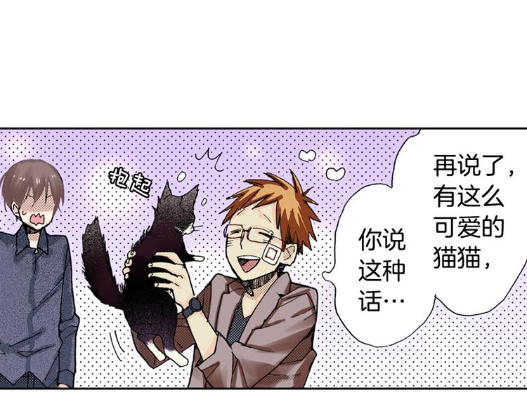 《同居人是猫》第8话 猫咪摸起来好舒服 第17页
