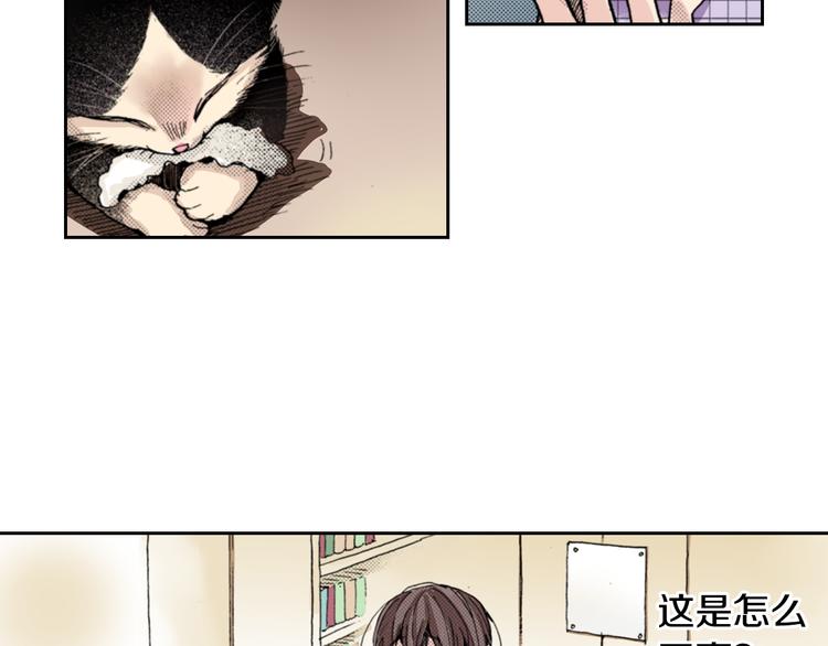 《同居人是猫》第8话 猫咪摸起来好舒服 第40页