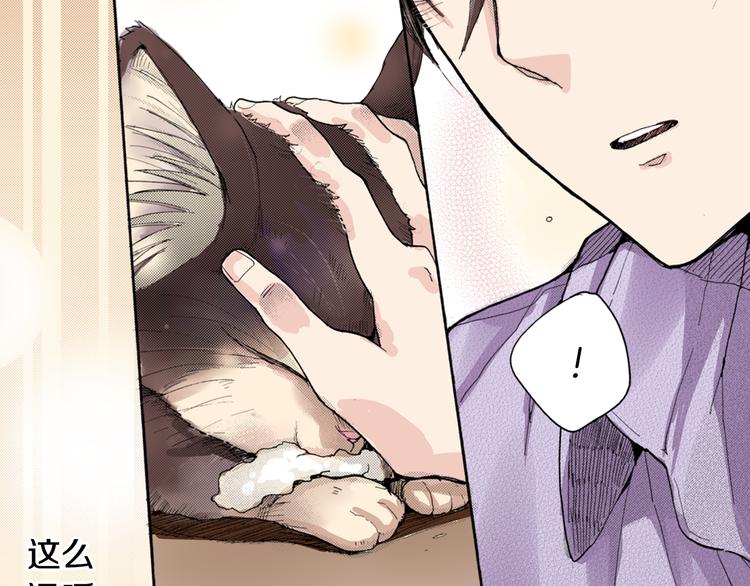 《同居人是猫》第8话 猫咪摸起来好舒服 第49页