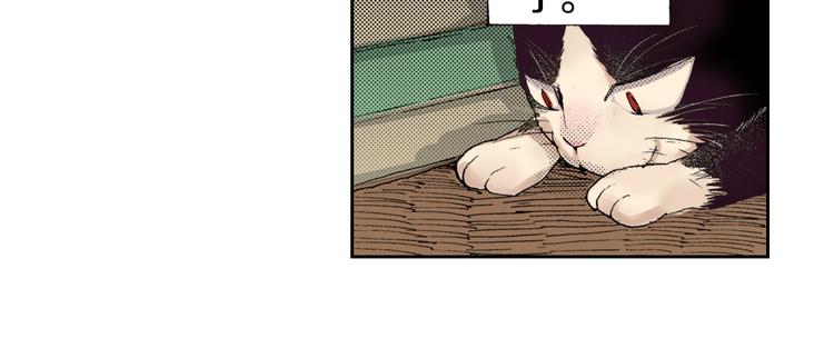 《同居人是猫》第6话 喵我要吃饭饭 第19页