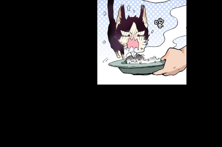 《同居人是猫》第6话 喵我要吃饭饭 第29页