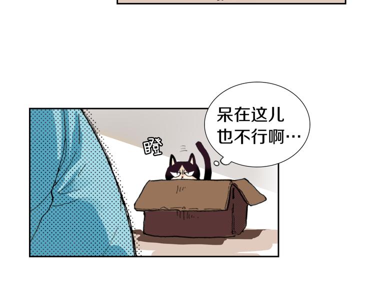 《同居人是猫》第6话 喵我要吃饭饭 第44页