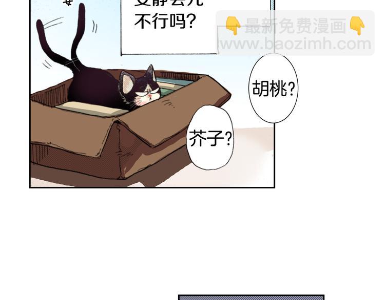《同居人是猫》第6话 喵我要吃饭饭 第48页