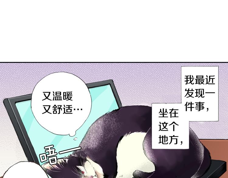 《同居人是猫》第6话 喵我要吃饭饭 第5页