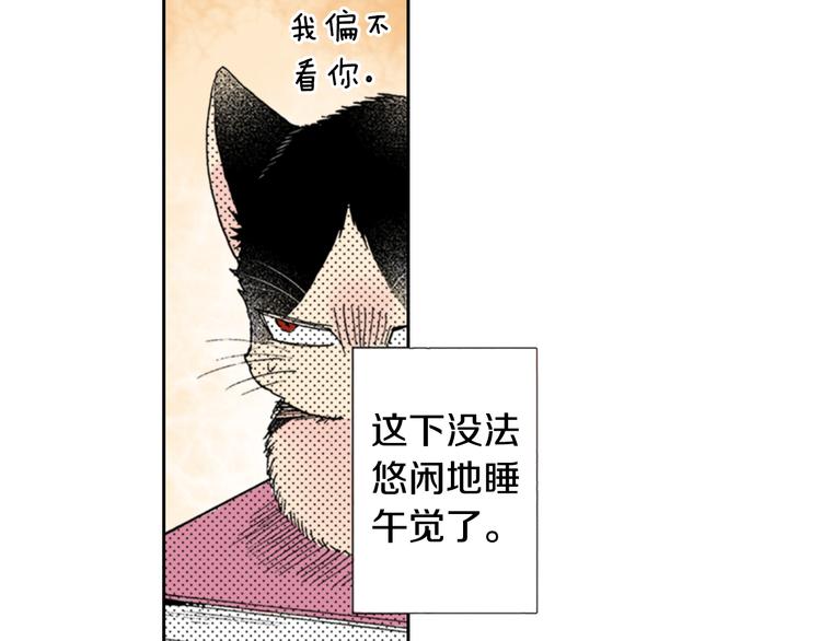 《同居人是猫》第9话 主人的地位 第10页