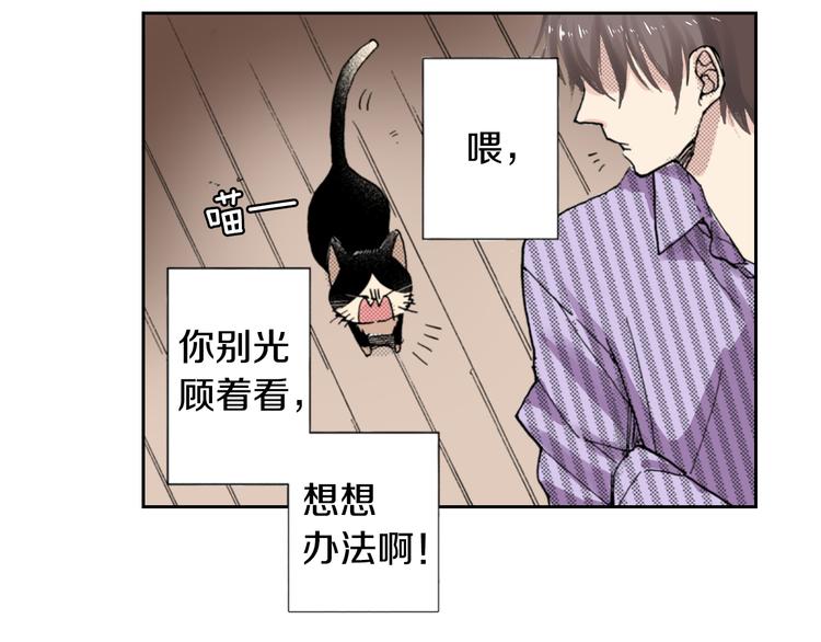 《同居人是猫》第9话 主人的地位 第23页