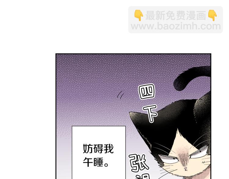 《同居人是猫》第9话 主人的地位 第6页