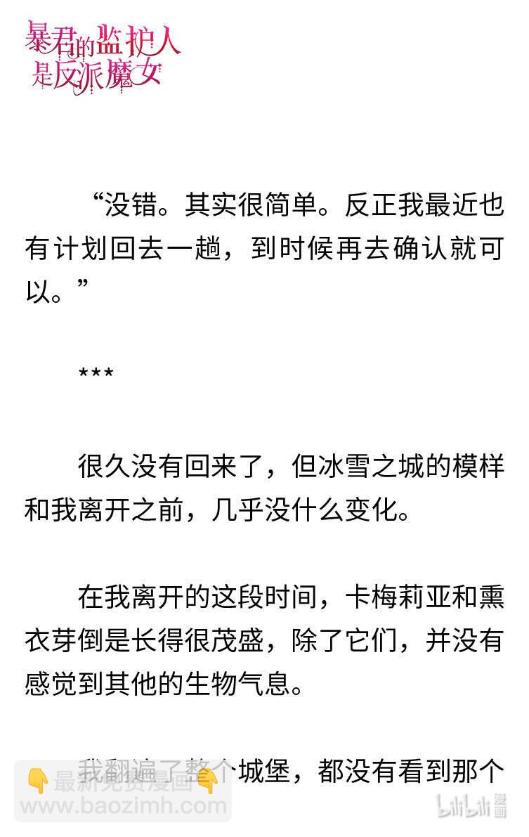 《暴君的监护人是反派魔女 小说》121 神秘男人 第27页