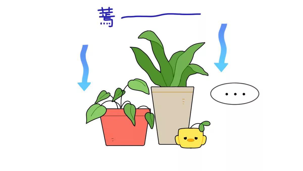 《小开家族》爱拖延的安德 第4页