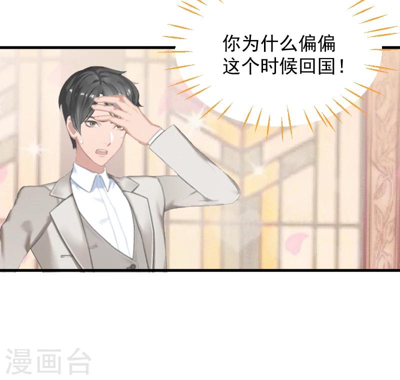 《总裁强攻明星爱妻》第1话 抢婚 第17页