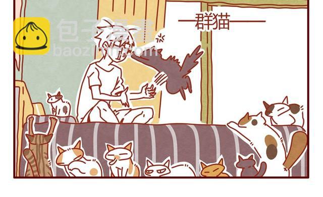 《人形喵的养成》第3话 我的猫哪去了？ 第12页