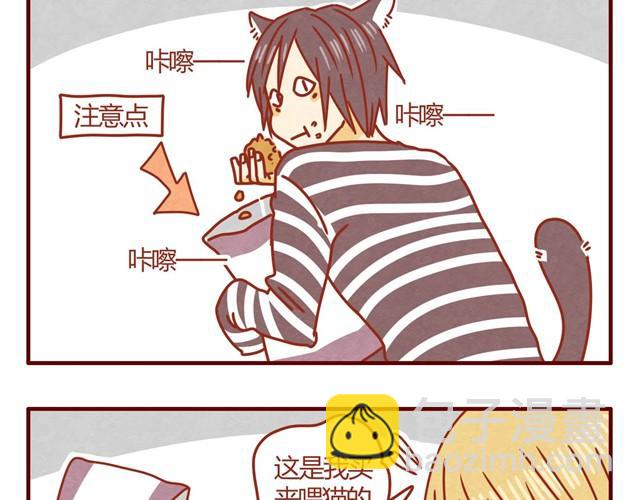 《人形喵的养成》第3话 我的猫哪去了？ 第16页